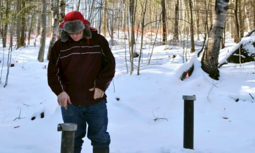 Dartmouth College’s Neighbors are Worried of Pollution from Pile of Dead Mice