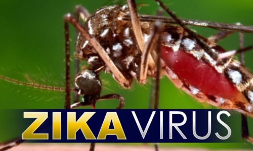 Doctors Raised Concern after Five Babies Born in New York City with Zika